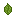 Tea Leaf
