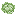 Cabbage
