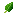 Curry Leaf