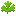 Cilantro