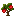 Oak Apple Sapling