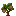 Coconut Sapling