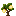 Lemon Sapling