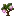 Plum Sapling