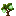 Lime Sapling