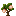 Peach Sapling