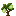 Pear Sapling