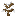 Tin Plant