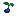 Lapis Plant