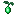 Emerald Plant