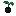 Obsidian Plant