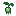 Slime Plant