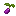 Grape Bush