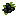 Elderberry