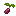 Raspberry Bush