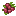 Raspberry
