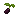 Blackberry Bush