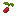 Cranberry Bush