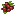 Cranberry