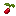 Cowberry Bush
